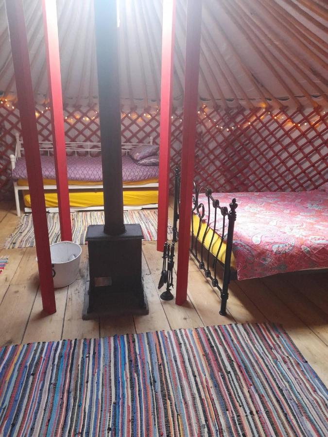Alder Yurt Wych Elm Glamping Hotel Helston Exterior photo