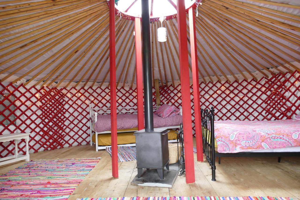 Alder Yurt Wych Elm Glamping Hotel Helston Exterior photo